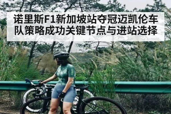 诺里斯F1新加坡站夺冠迈凯伦车队策略成功关键节点与进站选择